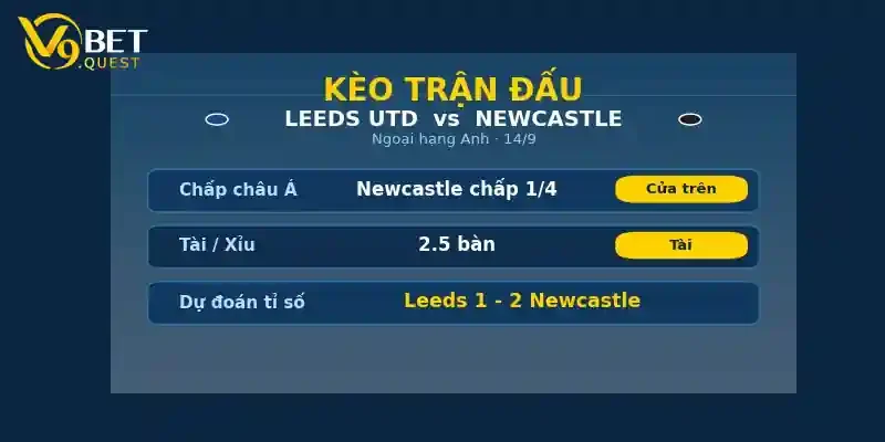 Soi kèo Leeds vs Newcastle 02h00 ngày 14/9 – Vòng 4 Ngoại hạng Anh 2 Kèo trận đấu Leeds vs Newcastle